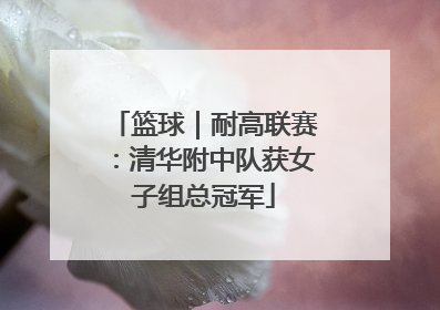 篮球｜耐高联赛：清华附中队获女子组总冠军