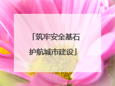 筑牢安全基石 护航城市建设