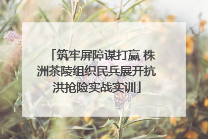 筑牢屏障谋打赢 株洲茶陵组织民兵展开抗洪抢险实战实训