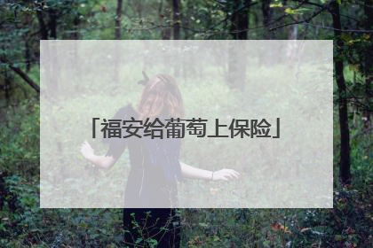 福安给葡萄上保险