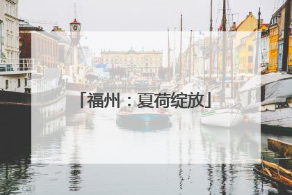 福州：夏荷绽放