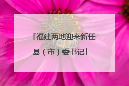 福建两地迎来新任县（市）委书记