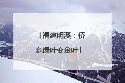 福建明溪：侨乡绿叶变金叶