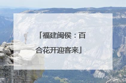福建闽侯：百合花开迎客来