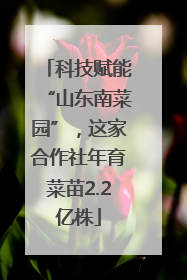 科技赋能“山东南菜园”，这家合作社年育菜苗2.2亿株