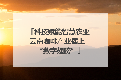 科技赋能智慧农业 云南咖啡产业插上“数字翅膀”