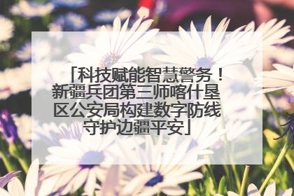 科技赋能智慧警务！新疆兵团第三师喀什垦区公安局构建数字防线守护边疆平安