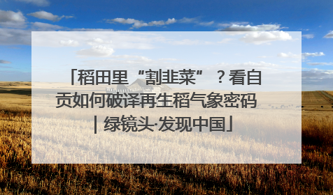 稻田里“割韭菜”？看自贡如何破译再生稻气象密码｜绿镜头·发现中国