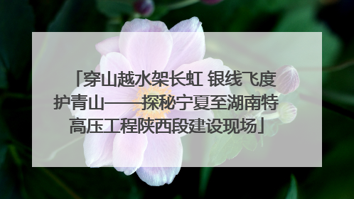 穿山越水架长虹 银线飞度护青山——探秘宁夏至湖南特高压工程陕西段建设现场