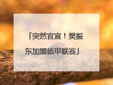 突然官宣！樊振东加盟德甲联赛