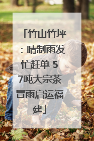 竹山竹坪：晴制雨发忙赶单 57吨大宗茶冒雨启运福建