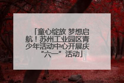 童心绽放 梦想启航！苏州工业园区青少年活动中心开展庆“六一”活动