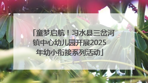 童梦启航！习水县三岔河镇中心幼儿园开展2025年幼小衔接系列活动