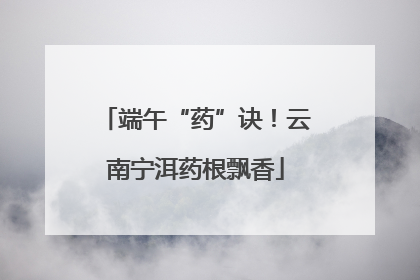 端午“药”诀！云南宁洱药根飘香