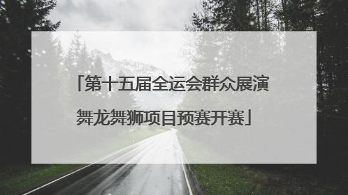 第十五届全运会群众展演舞龙舞狮项目预赛开赛