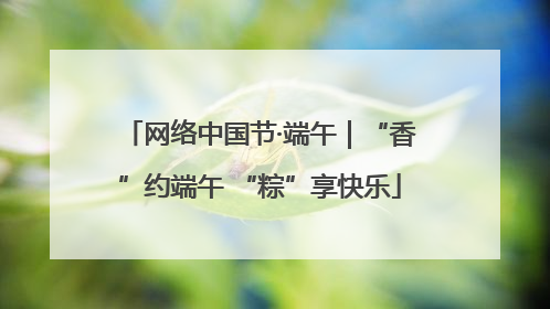 网络中国节·端午｜“香”约端午 “粽”享快乐