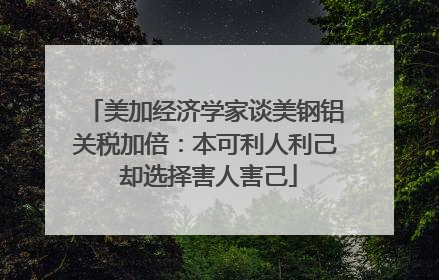 美加经济学家谈美钢铝关税加倍：本可利人利己 却选择害人害己