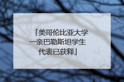 美哥伦比亚大学一亲巴勒斯坦学生代表已获释