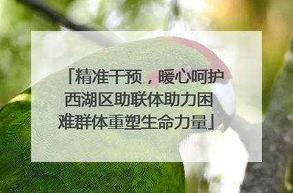 精准干预，暖心呵护 西湖区助联体助力困难群体重塑生命力量
