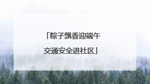 粽子飘香迎端午 交通安全进社区