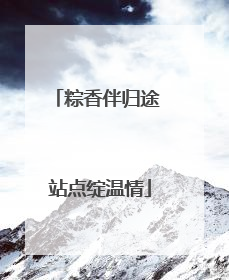 粽香伴归途 站点绽温情