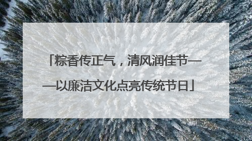 粽香传正气，清风润佳节——以廉洁文化点亮传统节日