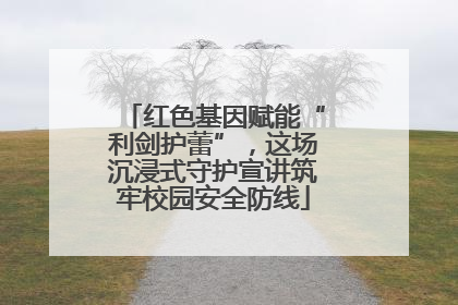 红色基因赋能“利剑护蕾”，这场沉浸式守护宣讲筑牢校园安全防线