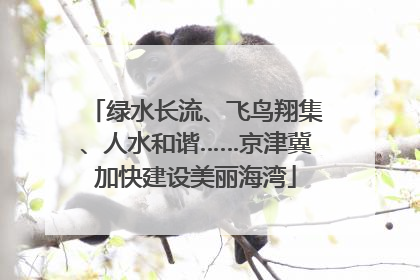 绿水长流、飞鸟翔集、人水和谐……京津冀加快建设美丽海湾