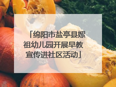 绵阳市盐亭县嫘祖幼儿园开展早教宣传进社区活动