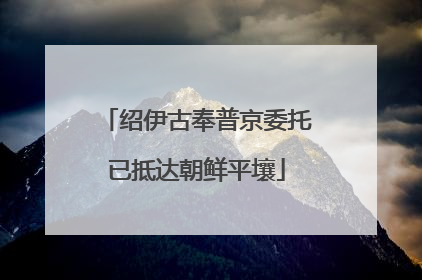绍伊古奉普京委托已抵达朝鲜平壤
