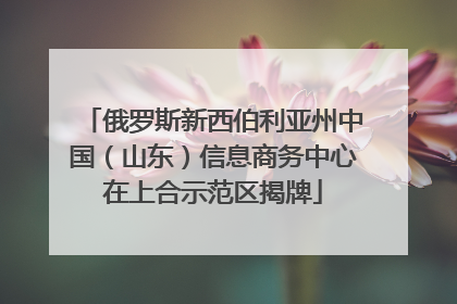 俄罗斯新西伯利亚州中国（山东）信息商务中心在上合示范区揭牌