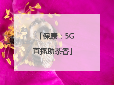 保康：5G直播助茶香