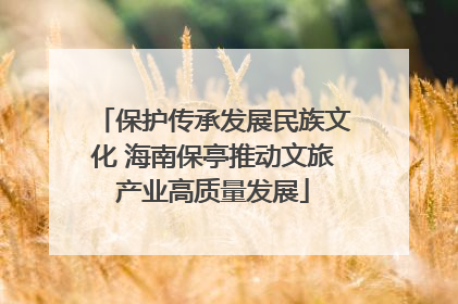 保护传承发展民族文化 海南保亭推动文旅产业高质量发展