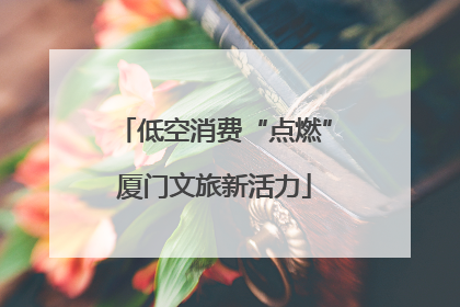 低空消费“点燃”厦门文旅新活力