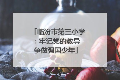 临汾市第三小学：牢记党的教导 争做强国少年