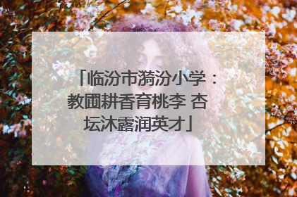 临汾市漪汾小学：教圃耕香育桃李 杏坛沐露润英才