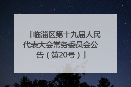 临淄区第十九届人民代表大会常务委员会公告（第20号）