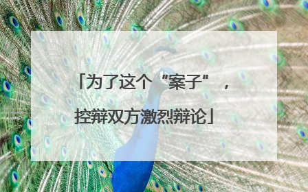 为了这个“案子”，控辩双方激烈辩论