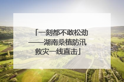 一刻都不敢松劲——湖南桑植防汛救灾一线直击