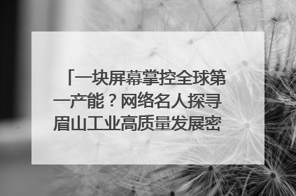 一块屏幕掌控全球第一产能？网络名人探寻眉山工业高质量发展密码｜网络名人四川行