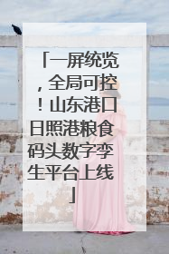 一屏统览，全局可控！山东港口日照港粮食码头数字孪生平台上线