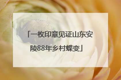 一枚印章见证山东安陵88年乡村蝶变