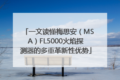 一文读懂梅思安（MSA）FL5000火焰探测器的多重革新性优势
