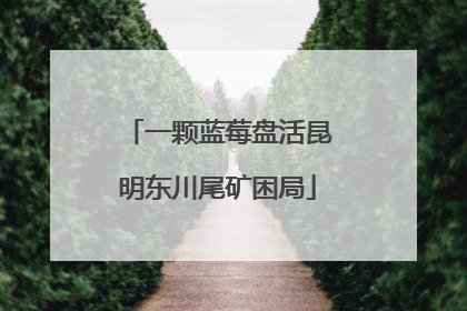 一颗蓝莓盘活昆明东川尾矿困局
