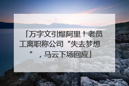万字文引爆阿里！老员工离职称公司“失去梦想”，马云下场回应