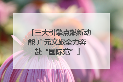 三大引擎点燃新动能 广元文旅全力奔赴“国际范”