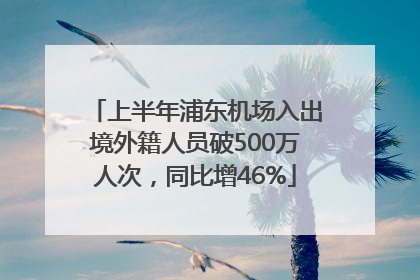 上半年浦东机场入出境外籍人员破500万人次，同比增46%