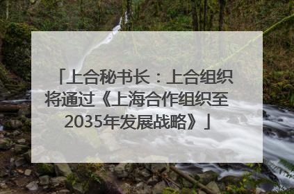 上合秘书长：上合组织将通过《上海合作组织至2035年发展战略》