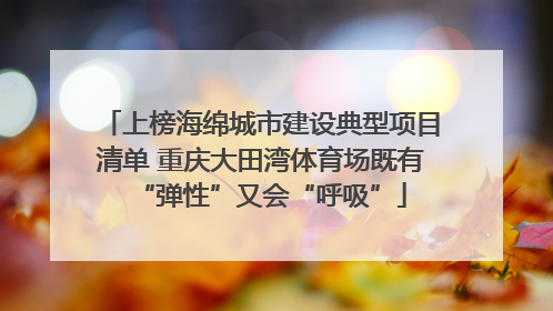 上榜海绵城市建设典型项目清单 重庆大田湾体育场既有“弹性”又会“呼吸”