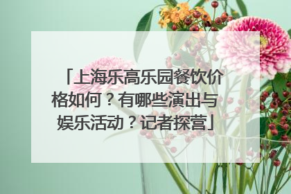 上海乐高乐园餐饮价格如何？有哪些演出与娱乐活动？记者探营